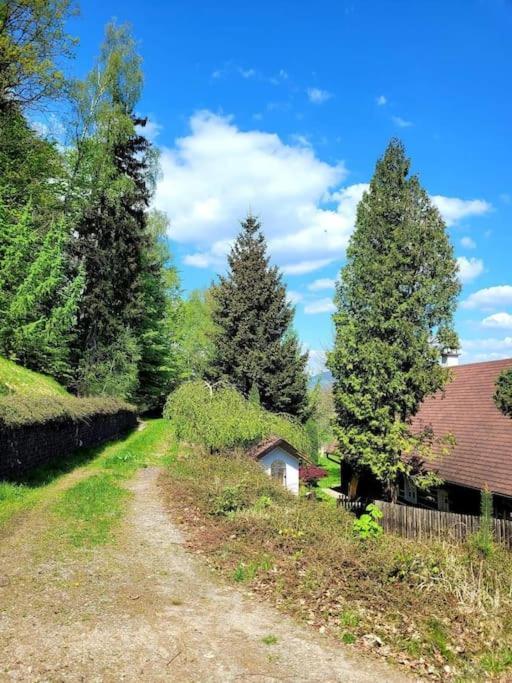 Vila Roubenka U Kaplicky Liberec Exteriér fotografie