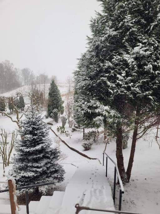 Vila Roubenka U Kaplicky Liberec Exteriér fotografie